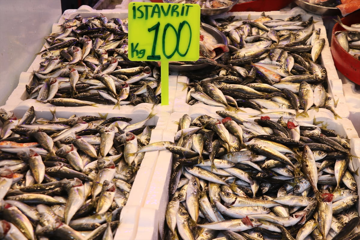 Rize'de balıkçı tezgahlarında en çok ilgi gören istavritin kilogramı 100 liradan satışa...