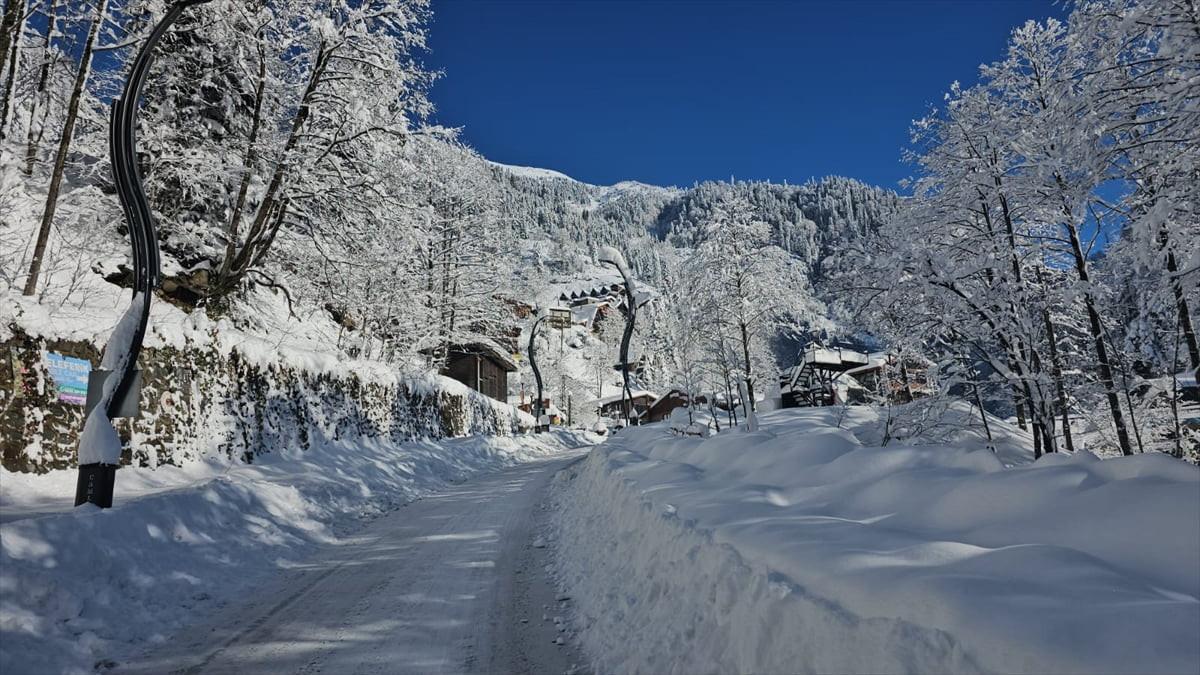 Rize'de iki gündür etkili olan kar yağışı dolayısıyla 57 köy yolu ulaşıma kapandı. Çamlıhemşin...