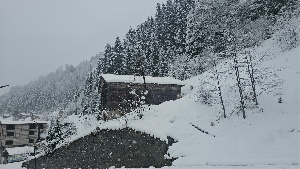 Rize'de kar aralıklarla etkisini sürdürüyor. Çamlıhemşin ilçesine bağlı Ayder Yaylası'nda da...