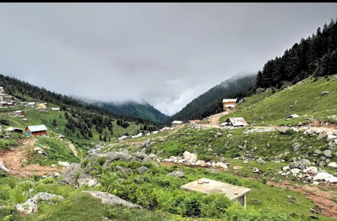 RİZE'NİN ÇAMLIHEMŞİN İLÇESİNE BAĞLI ÇAT VADİSİ'NDEKİ HAMLAKİT YAYLASI