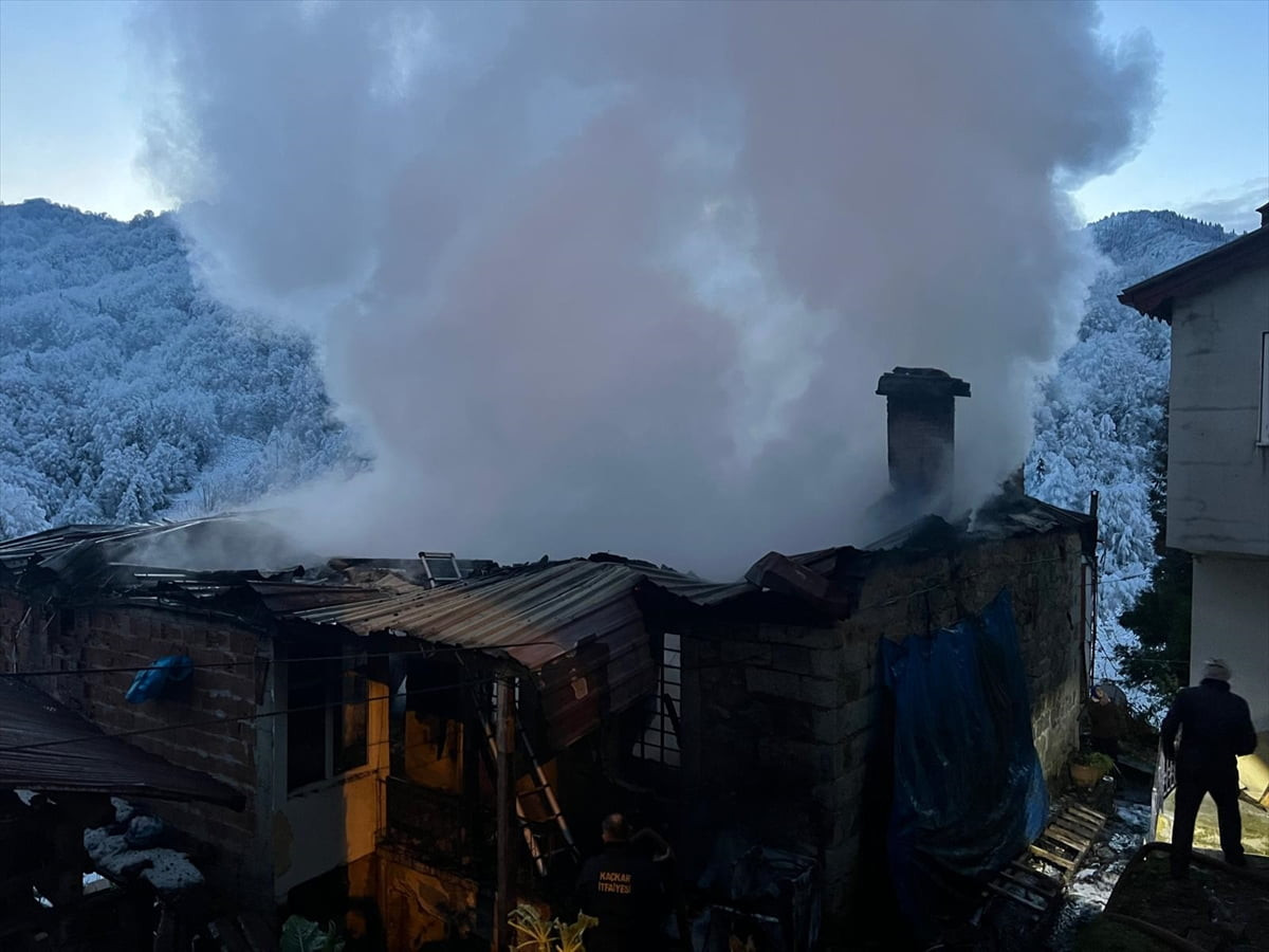Rize'nin Hemşin ilçesinde çıkan yangında 2 ev zarar gördü.