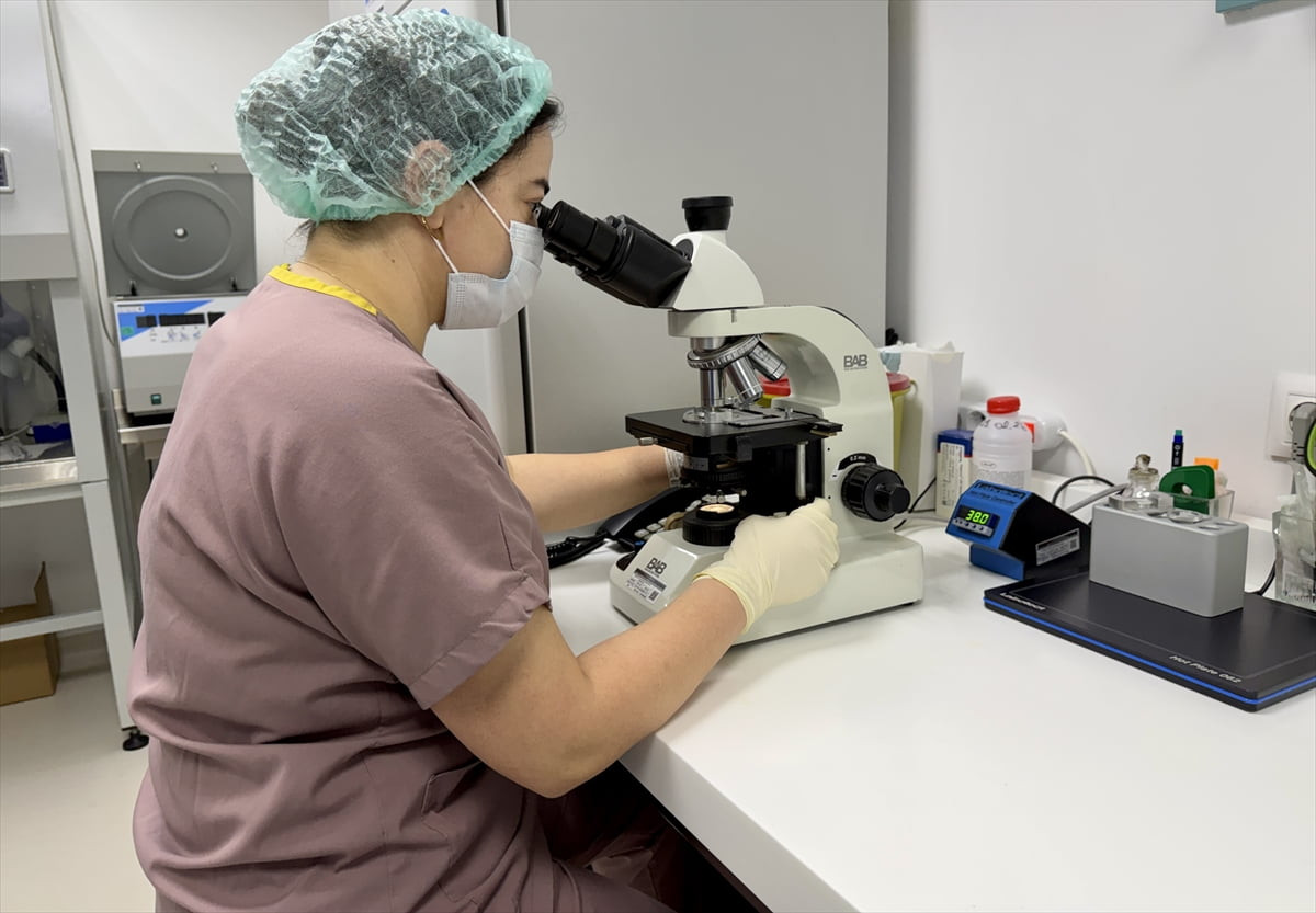 Sakarya Eğitim ve Araştırma Hastanesi (SEAH) Tüp Bebek Merkezi, doğal yollarla çocuk sahibi...