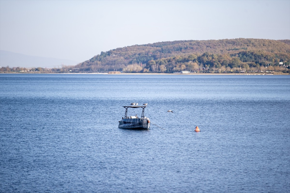 Sakarya ve Kocaeli'nin su ihtiyacının büyük bölümünü karşılayan Sapanca Gölü'nün su seviyesindeki...