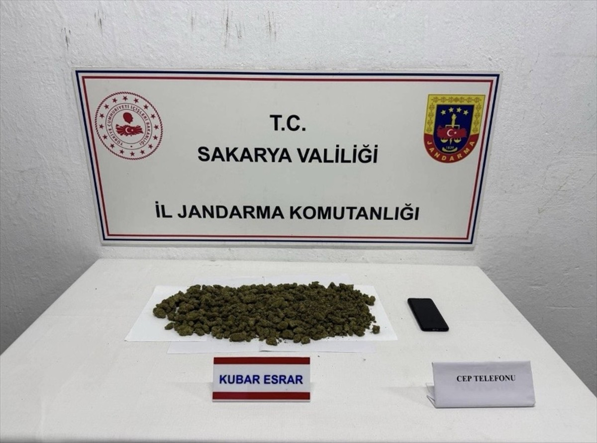 Sakarya'da evde kenevir yetiştiren ve uyuşturucuyla yakalanan 2 şüpheli tutuklandı. 