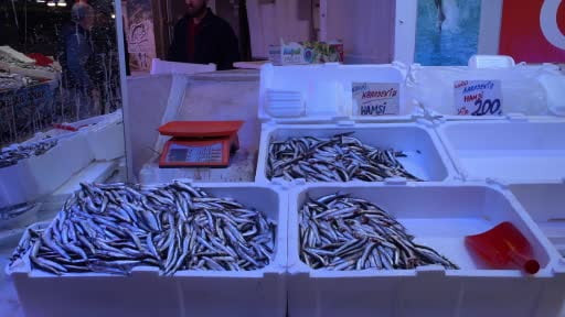 Sakarya'da sezonun son balıkları vatandaşla buluşuyor