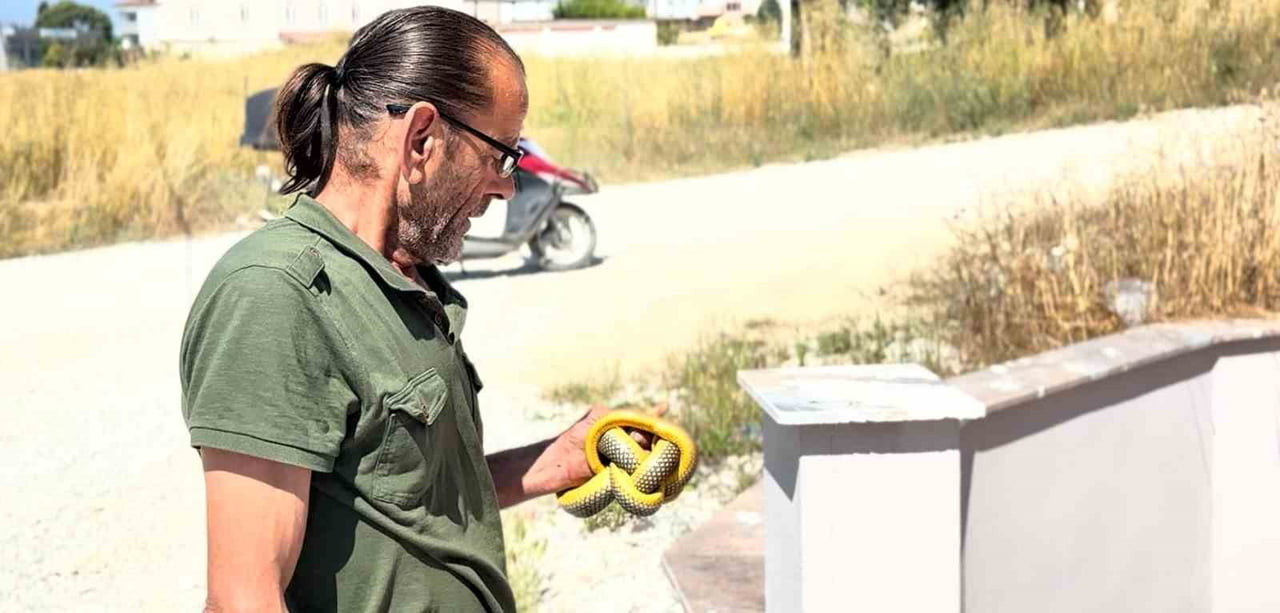 SAKARYA'NIN KAYNARCA İLÇESİNDE GEÇTİĞİMİZ GÜNLERDE BİR EVE GİREREK PANİĞE NEDEN OLAN YILANI ÇIPLAK...