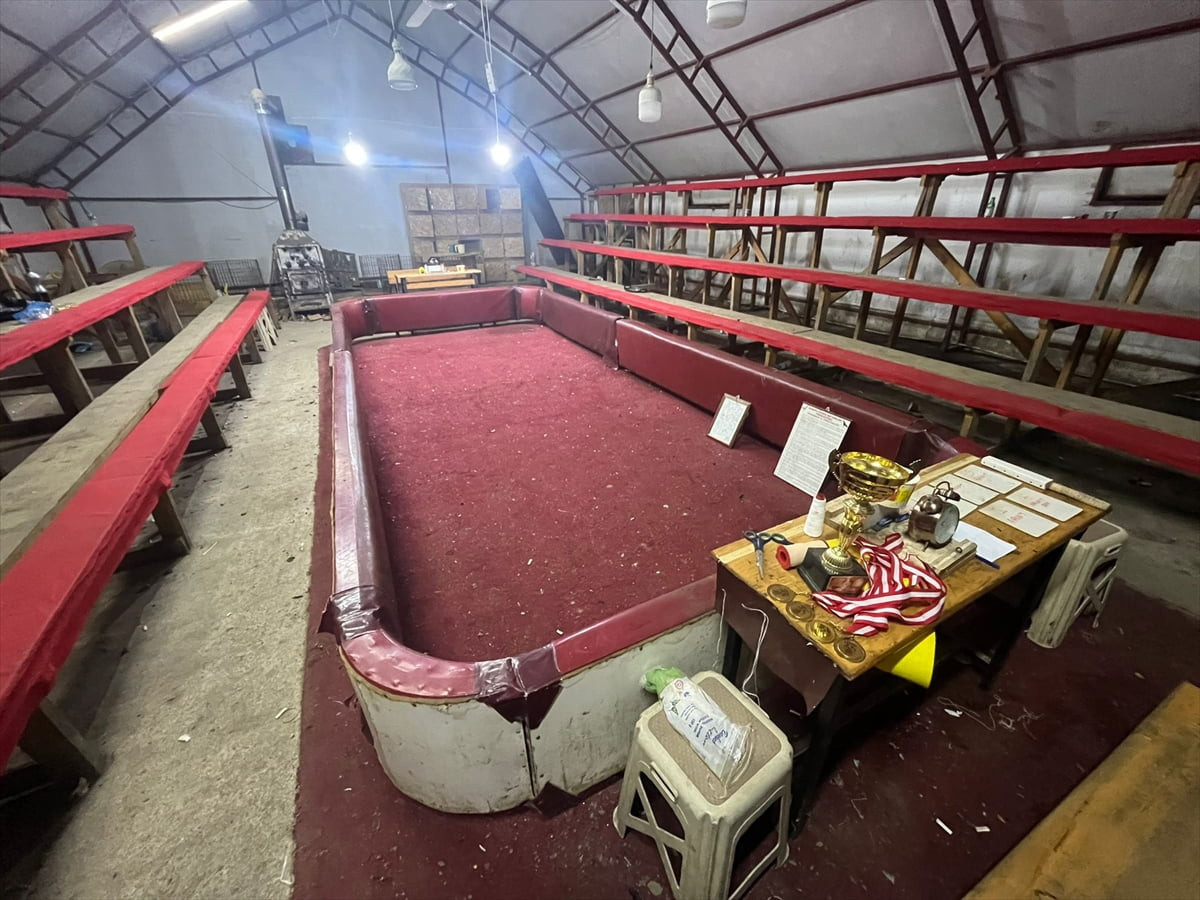 Sakarya'nın Kocaali ilçesinde horoz dövüştürdüğü belirlenen 34 kişiye 100 bin 402 lira ceza...