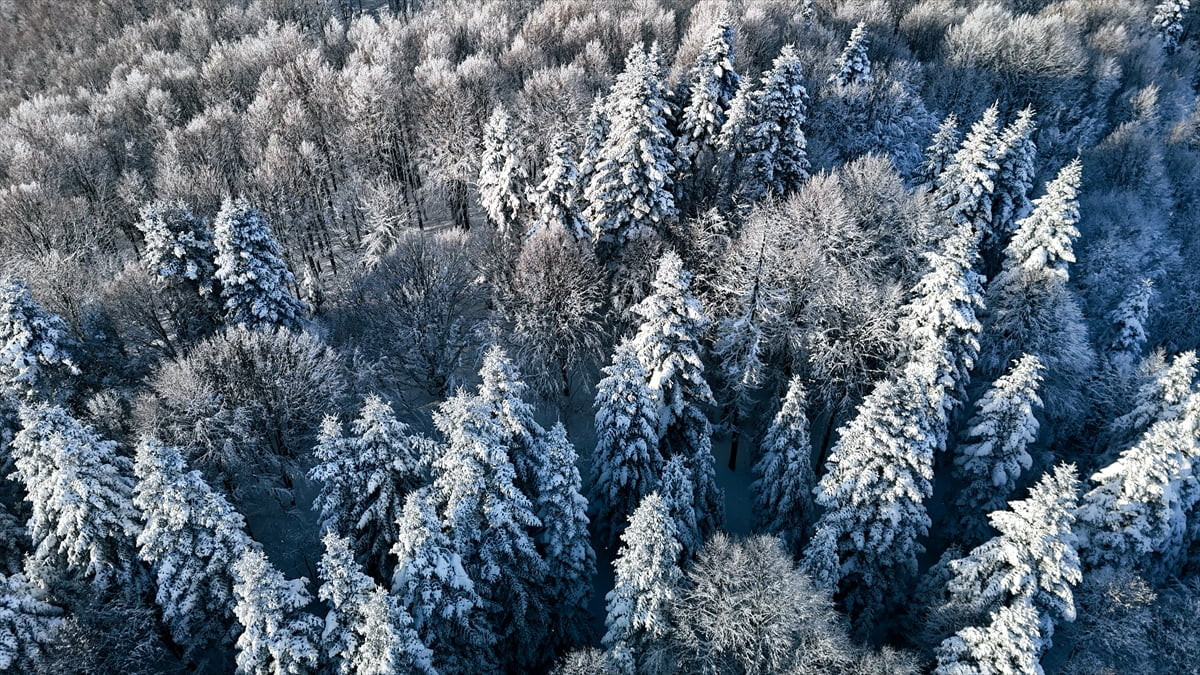 Sakarya'nın Kocaali ve Hendek ilçeleri arasında bulunan 900 rakımlı Çam Dağı'nda oluşan kış...