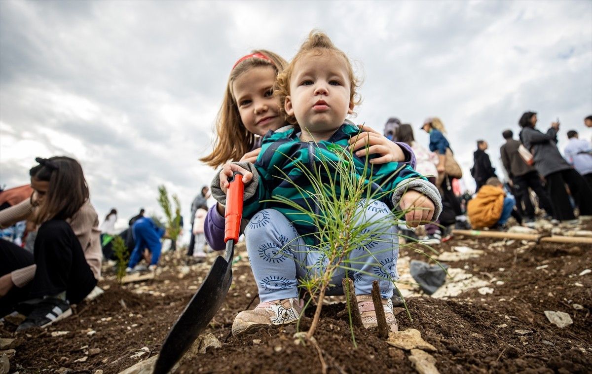 Sakarya'nın Söğütlü ilçesinde daha önce yanan ormanlık alanda oluşturulan ağaçlandırma sahasında...