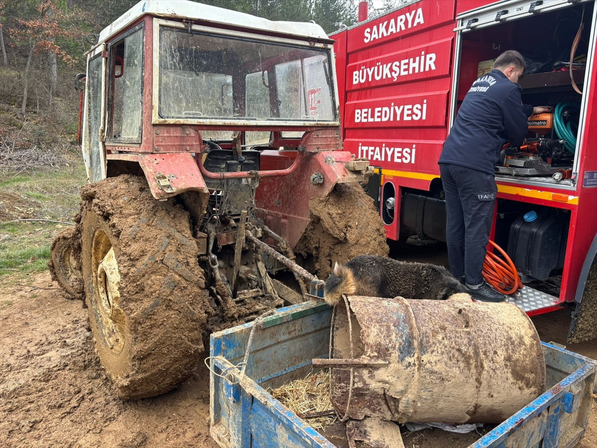 Sakarya'nın Taraklı ilçesinde kafası varile sıkışan köpeğin yardımına itfaiye ekipleri...