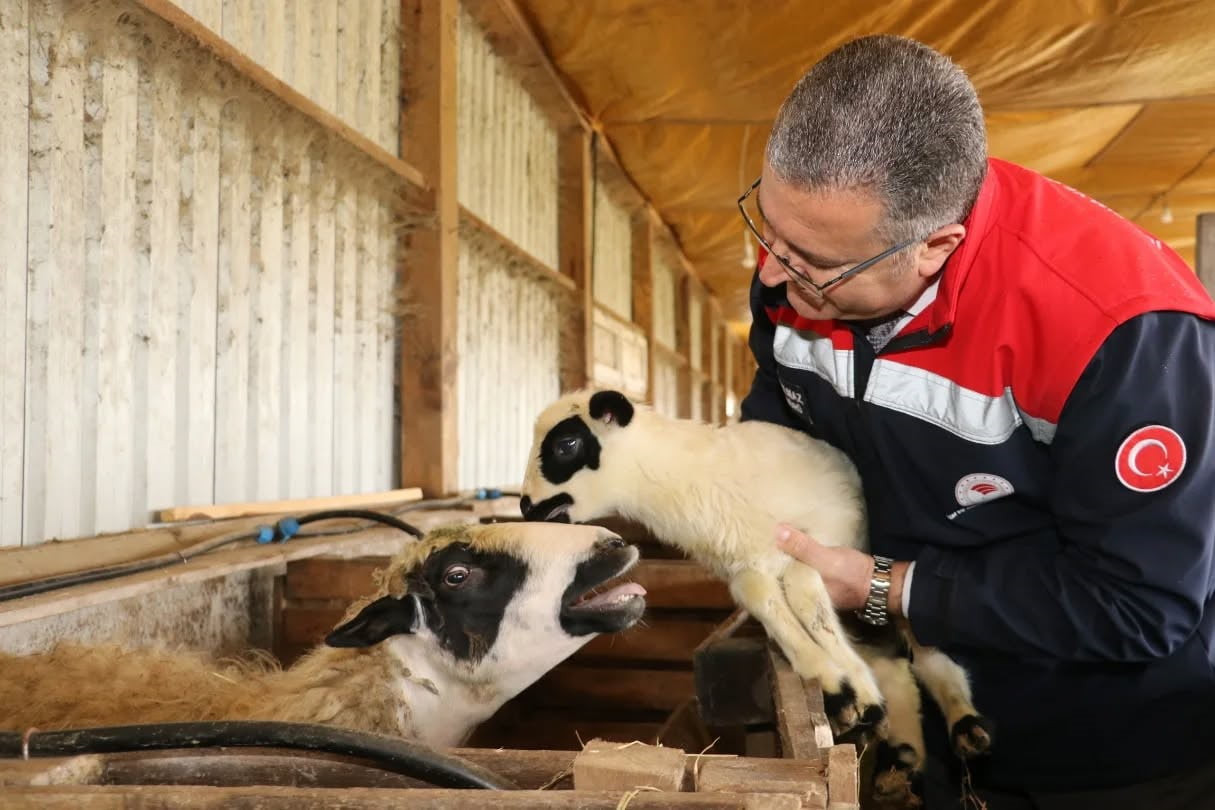 SAMSUN İL TARIM VE ORMAN MÜDÜRÜ KEMAL YILMAZ, BAFRA’DA FAALİYET GÖSTEREN VE ORGANİK ÜRETİM YAPAN...
