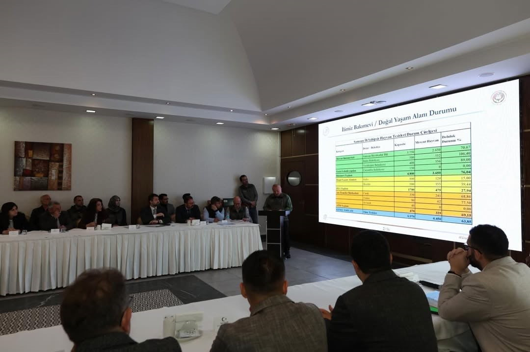 SAMSUN VALİSİ ORHAN TAVLI BAŞKANLIĞINDA GERÇEKLEŞTİRİLEN İL HAYVANLARI KORUMA KURULU...