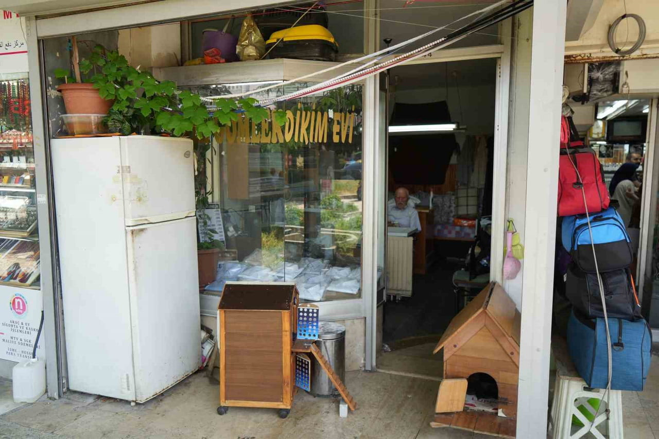 SAMSUN'DA 81 YAŞINDAKİ TERZİ MAHMUT MEMİŞOĞLU, KENDİNİ SOKAK KEDİLERİNE ADADI. SAHİPSİZ VE MUHTAÇ...