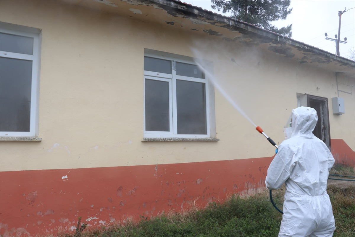 Samsun'da fındık başta olmak üzere tarım ürünlerine zarar veren "kahverengi kokarca" ile...