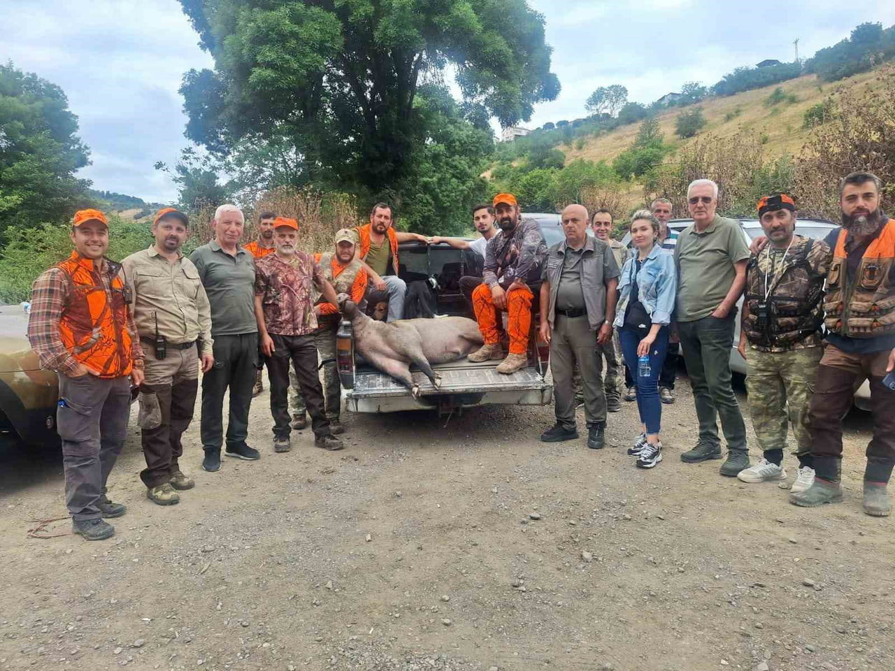 SAMSUN'DA FINDIK HASADI ÖNCESİ BAZI KIRSAL MAHALLELERDE YABAN DOMUZLARININ FINDIK BAHÇELERİNE...