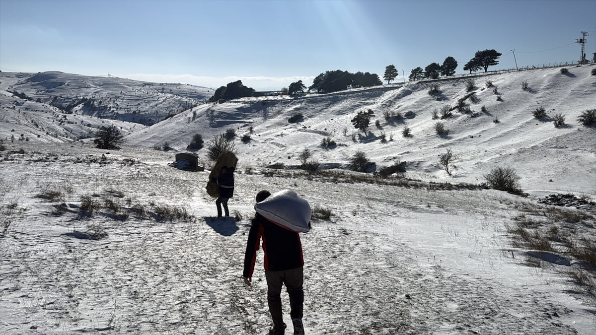 Samsun'un Alaçam ilçesinde kar yağışının ardından ormanların beyaza bürünmesi, dronla kaydedildi....