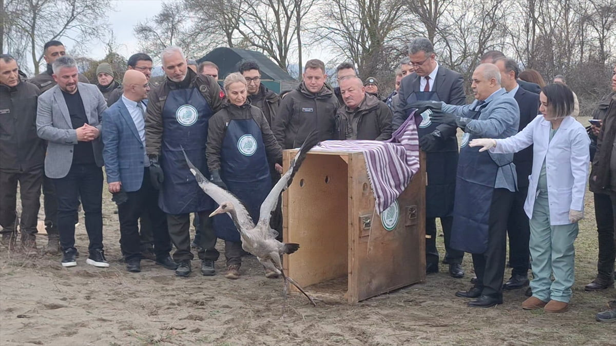 Samsun'un Bafra ilçesinde bulunan ve UNESCO Dünya Mirası Geçici Listesi'nde yer alan Kızılırmak...