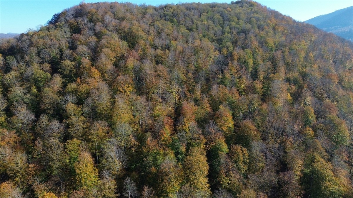 Samsun'un Bafra ilçesinde yer alan ve yaz aylarında uluslararası etkinliklere ev sahipliği yapan...