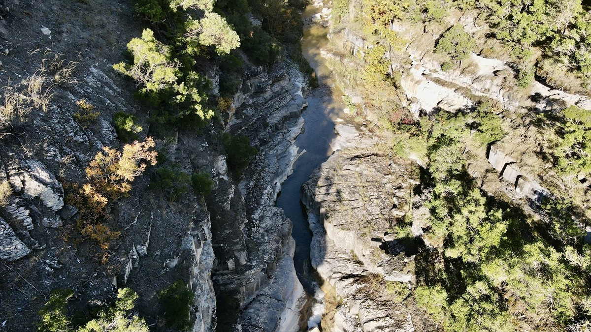 Samsun'un Bafra, Vezirköprü ve Havza ilçelerinin kesişme noktasında yer alan ve yeşillikler...