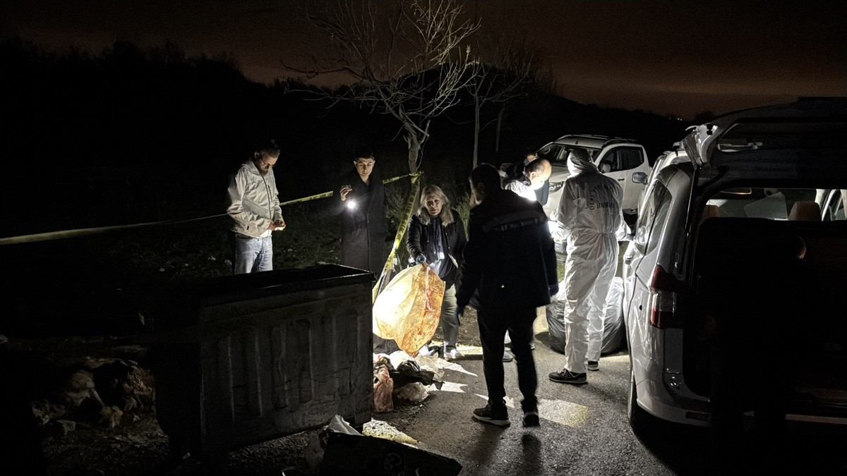 Samsun'un İlkadım ilçesinde 9 köpeğin ölü bulunmasıyla ilgili soruşturma başlatıldığı...