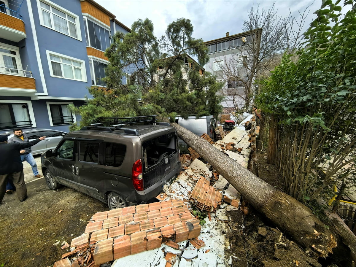 Samsun'un Salıpazarı ilçesinde şiddetli rüzgar nedeniyle ağaçların devrilmesi sonucu 3 araç zarar...