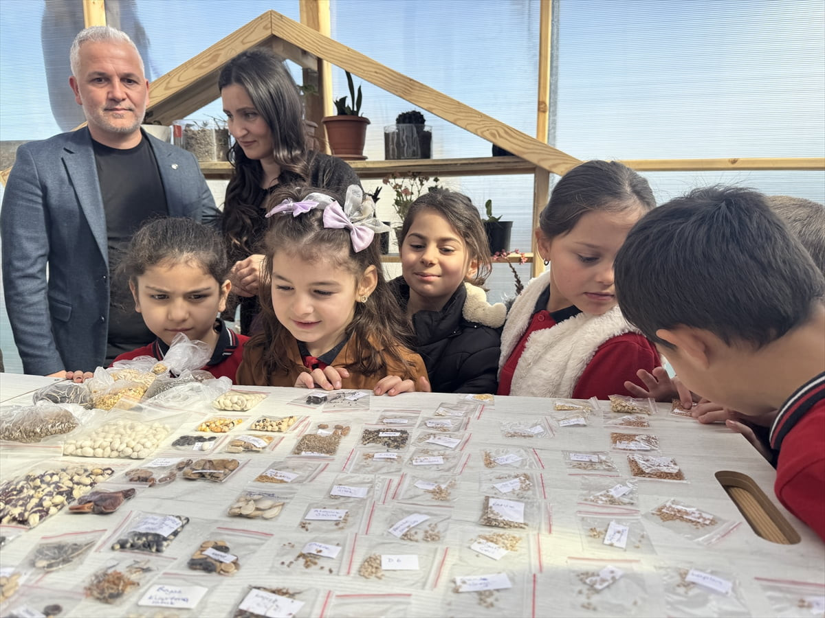 Samsun'un Tekkeköy ilçesinde Kibarlar İlkokulu öğrencileri, okul bahçesine kurulan serada ata...