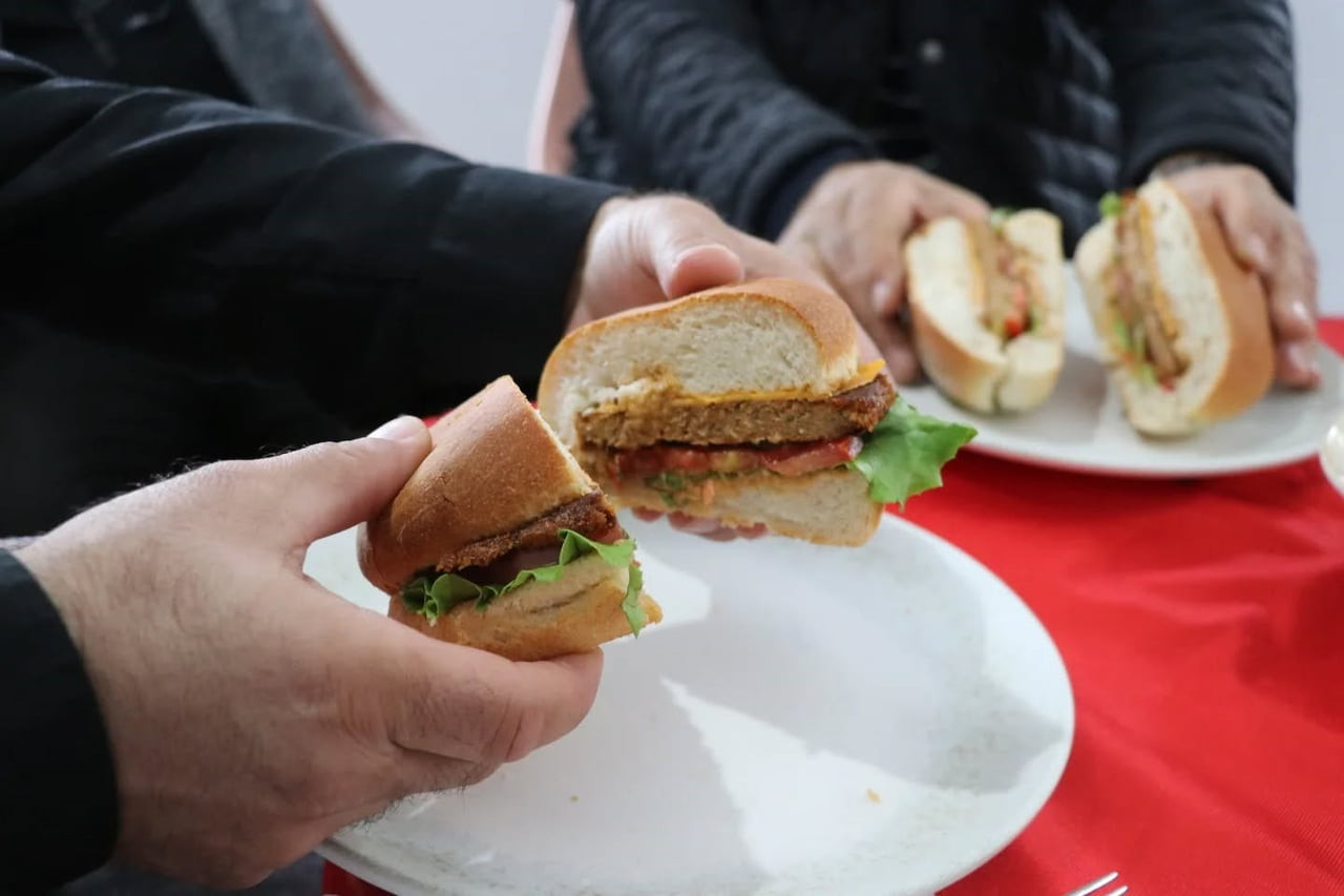 SAMSUN’DA KADIN ÜRETİCİLER, İSTİRİDYE MANTARINDAN TURŞU, KÖFTE VE HAMBURGER ÜRETTİ.