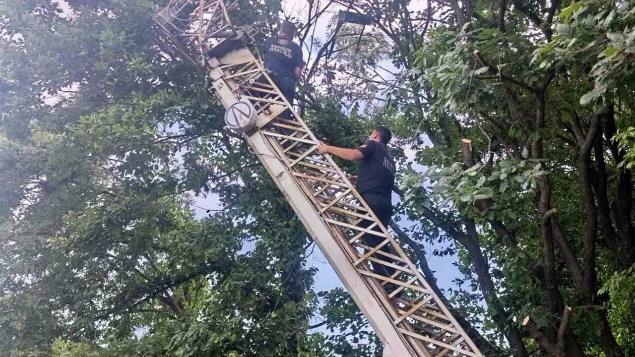 Samsun'un Alaçam ilçesinde insansız hava aracı alarmı