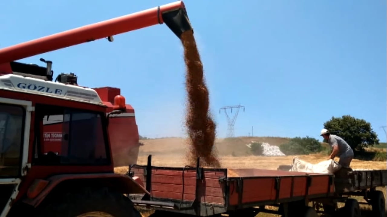 SAMSUN’UN VERİMLİ TARIM ARAZİLERİYLE TÜRKİYE’NİN ÖNEMLİ ÜRETİM MERKEZLERİNDEN BİRİ OLAN BAFRA...