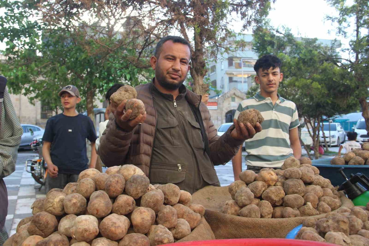 ŞANLIURFA'DA HER YIL SADECE NİSAN VE MAYIS AYINDA İLKBAHAR YAĞIŞLARIYLA ORTAYA ÇIKAN KEME MANTARI...