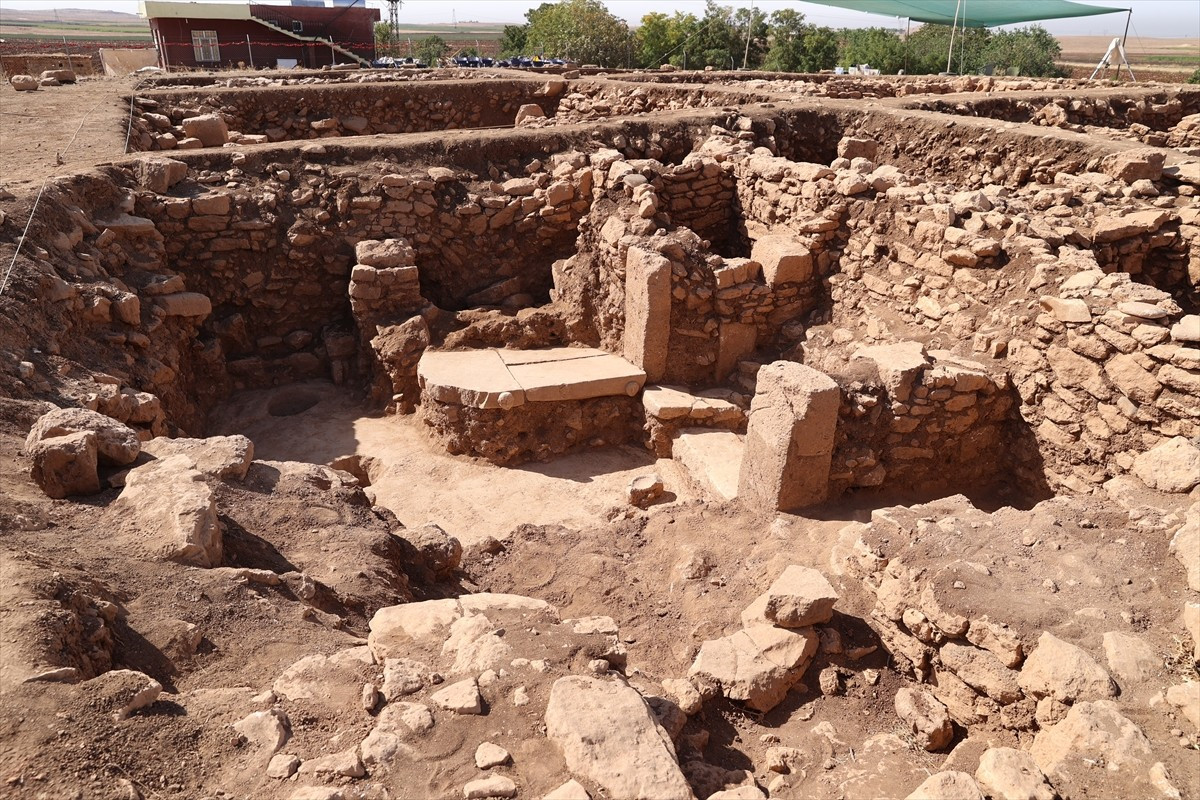 Şanlıurfa'da yürütülen "Taş Tepeler Projesi" kapsamında Sefertepe'de ortaya çıkarılan iki insan...