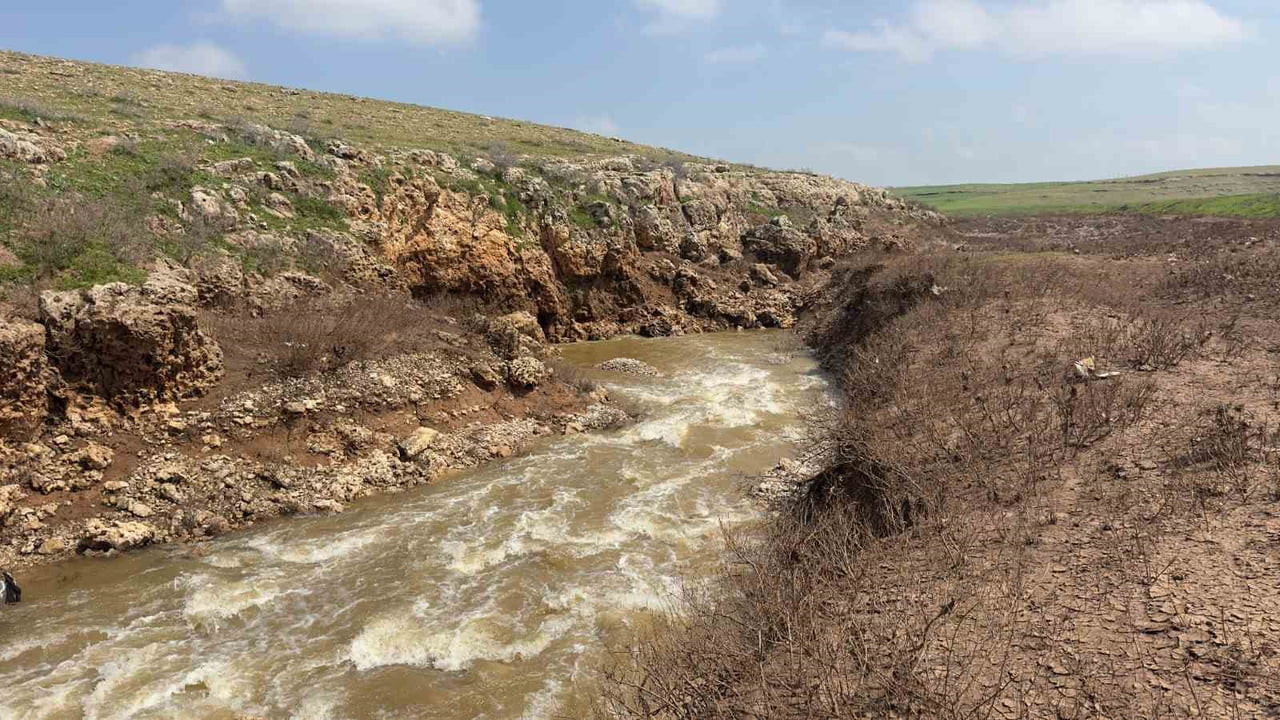 ŞANLIURFA'NIN CEYLANPINAR İLÇESİNDE HER YIL BÜYÜK MERAK UYANDIRAN VE BU YILKİ AŞIRI YAĞIŞLARLA...