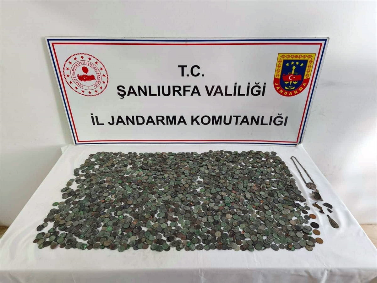 Şanlıurfa'nın Ceylanpınar ilçesinde, tarihi eser olduğu değerlendirilen 2 bin 638 sikke ile 6 obje...
