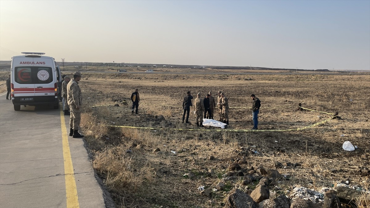 Şanlıurfa'nın Siverek ilçesinde yol kenarında erkek cesedi bulundu. Jandarma ve sağlık ekiplerince...