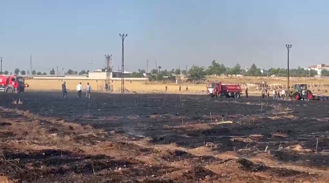 ŞANLIURFA'NIN VİRANŞEHİR İLÇESİNDE ÇIKAN YANGINDA YAKLAŞIK 60 DÖNÜM BUĞDAY EKİLİ ALAN ZARAR...