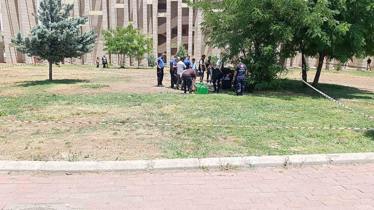 Şanlıurfa'da bir genç parkta ölü bulundu