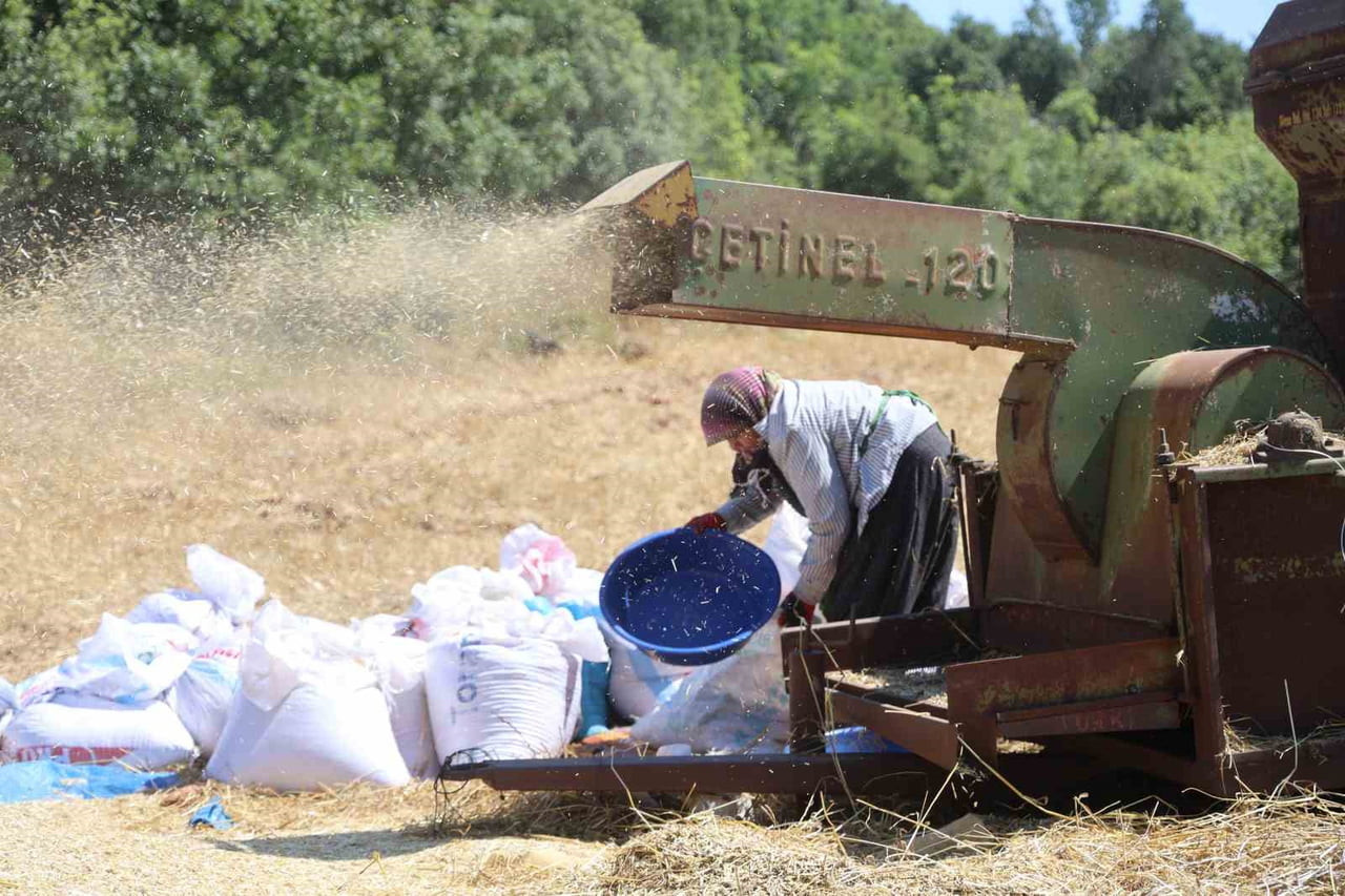 ŞAPKA, EŞARP VE BOL SUYLA SICAĞA KARŞI MÜCADELE EDEN ÜRETİCİLER, GÜN BOYU HEM TOZ HEM DE SICAK...