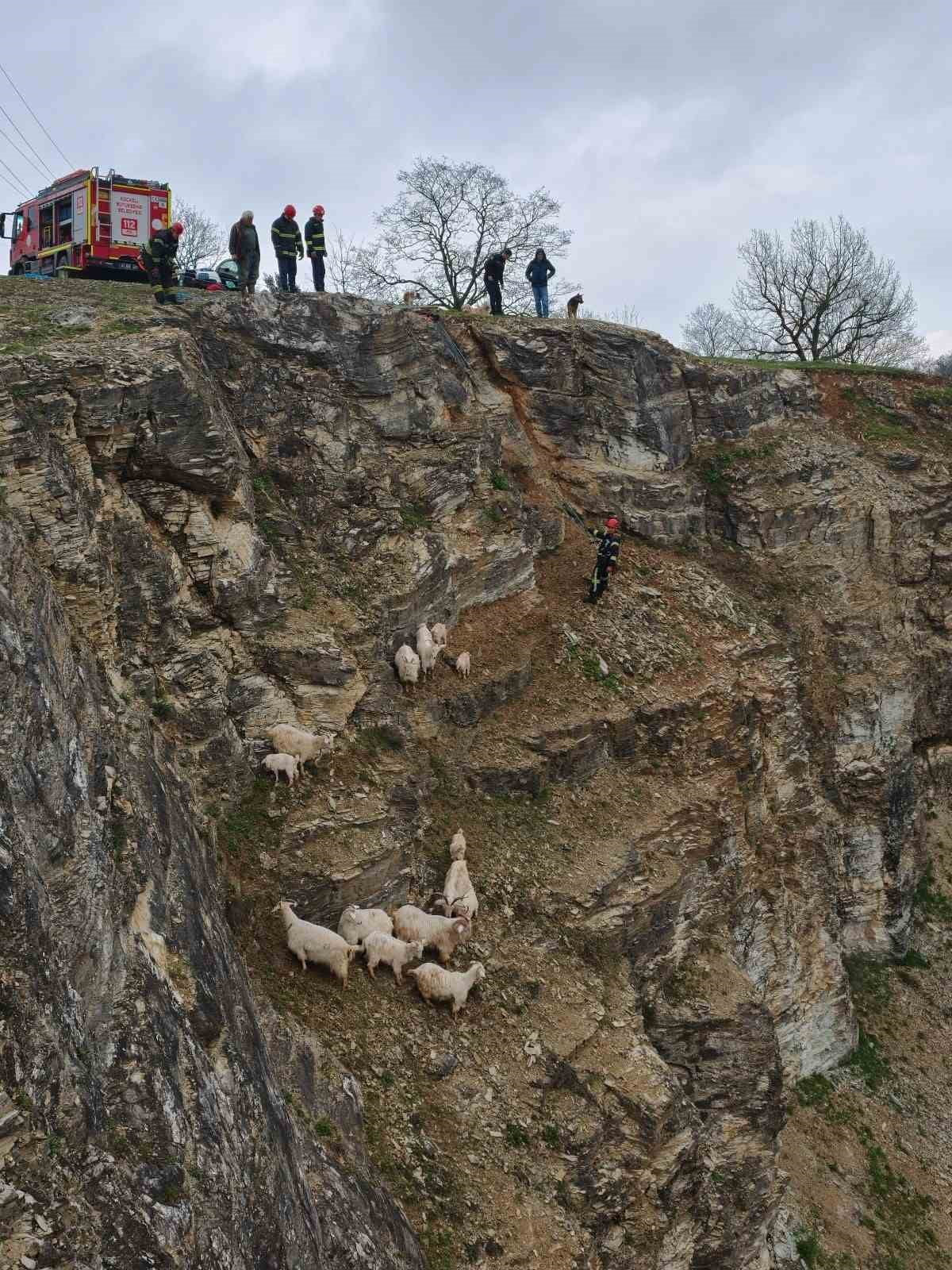 SARP KAYALIKLARA TIRMANAN VE MAHSUR KALAN 16 KEÇİ İLE OĞLAK, İTFAİYE EKİPLERİNİN ZORLU ARAZİ...