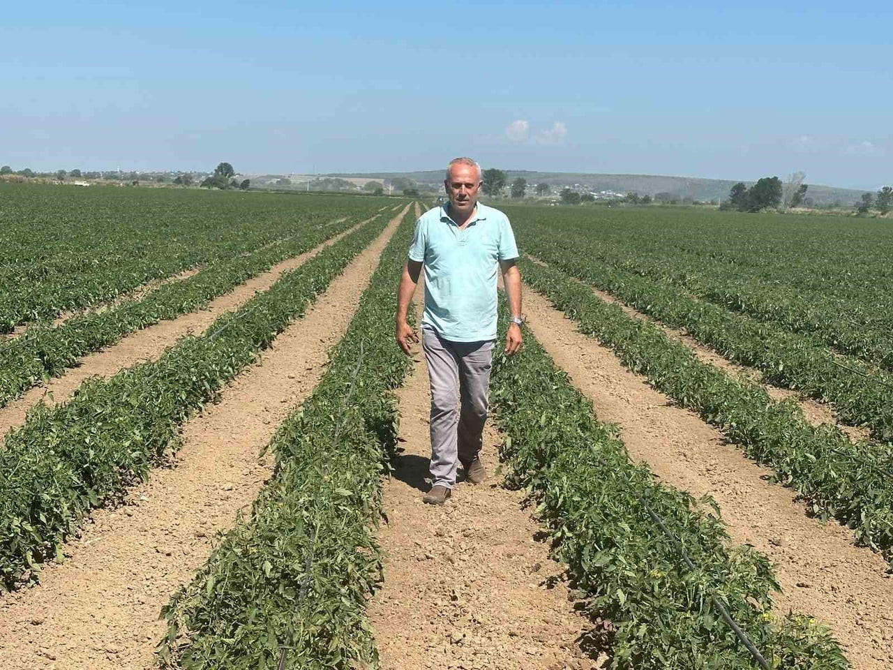SEÇİM GEZEGEN, BU YIL KARPUZ YERİNE DOMATES VE BİBER ÜRETTİĞİNİ İFADE ETTİ.