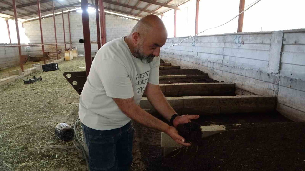 SERKAN DOĞAN, EVİNİN BAHÇESİNDE SOLUCAN GÜBRESİ ÜRETİMİNE BAŞLADI.