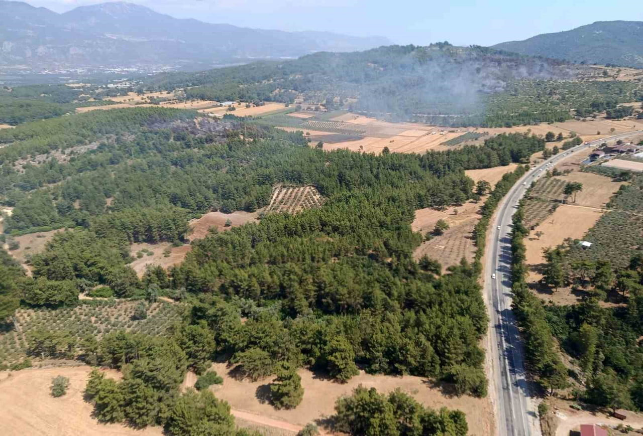 SEYDİKEMER'DEKİ ORMAN YANGINI KONTROL ALTINA ALINDI
