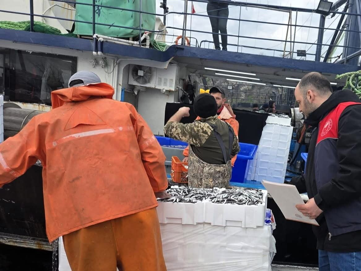 SEZON BOYUNCA 15 MİLYON 270 BİN 699 KİLOGRAM HAMSİ KARAYA ÇIKARILDI.