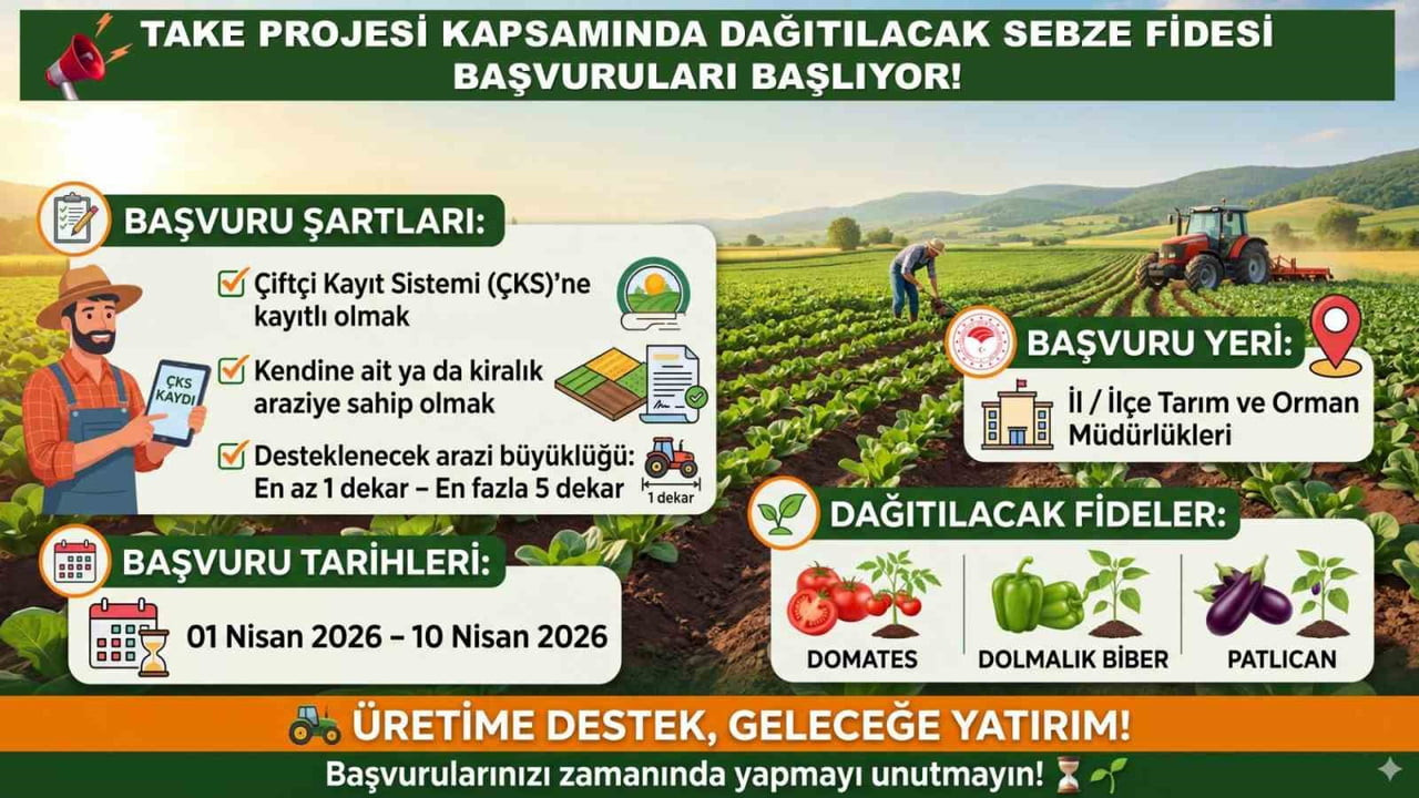 SİİRT TARIM MÜDÜRLÜĞÜ’NDEN SEBZE FİDESİ BAŞVURUSU UYARISI