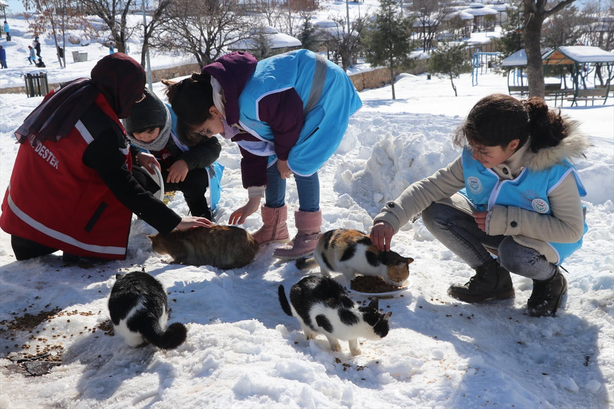 Siirt'te Aile ve Sosyal Hizmetler İl Müdürlüğü, çocukları "akran zorbalığı"na karşı...