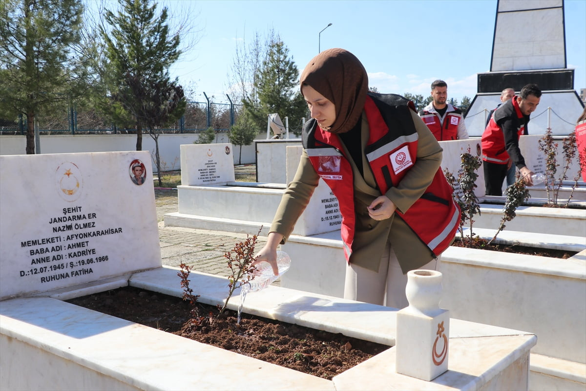 Siirt'te, Aile ve Sosyal Hizmetler İl Müdürlüğünce şehitliklerde bakım, onarım ve temizlik...