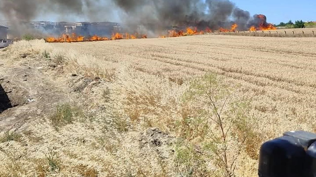 Silivri'de iki tarla yangını itfaiye ekipleri tarafından söndürüldü