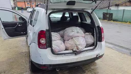 Silivri’de satışa hazır 306 at eti yakalandı, 3 kişi gözaltına alındı