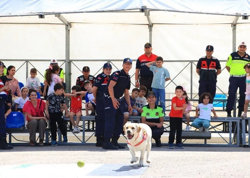 SİNOP İL JANDARMA KOMUTANLIĞI, ADA ANAOKULU ÖĞRENCİLERİNİ AĞIRLAYARAK MİNİKLERE UNUTULMAZ BİR GÜN...