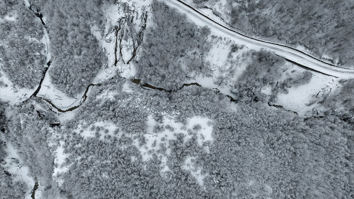 Sinop'ta ormanlık alanlarda kar yağışının ardından oluşan manzara, dronla kaydedildi.