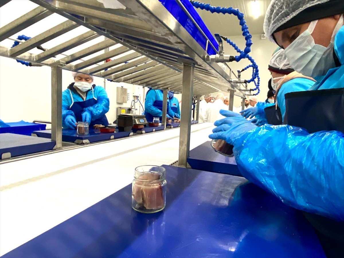 Sinop'ta, "Lakerda ve Su Ürünleri Üretim Tesisi"nin tanıtım toplantısı gerçekleştirildi. Sanayi ve...